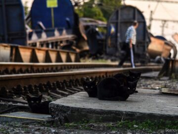 Vykoľajený vlak Siladice