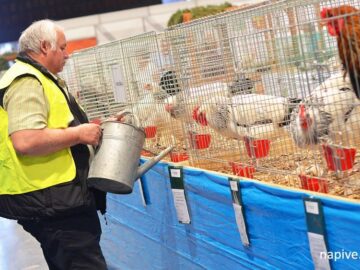 Poľnohospodárska a potravinárska výstava 2014