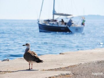 Primošten, Chorvátsko